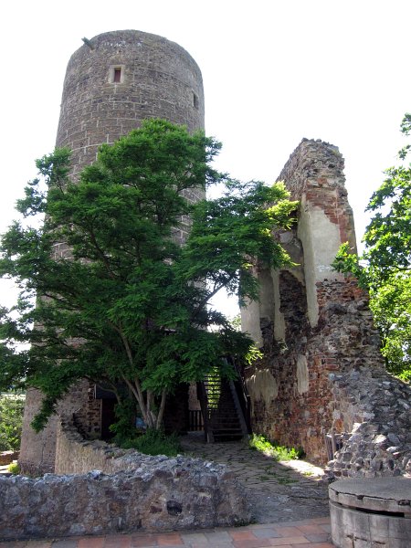 IMG_1124_1.jpg - Na nejvyšším bodě křemencového valu byla postavena mohutná obranná věž, vysoká asi 20 m, mající 35 m v obvodu, v jejíž horní časti bylo šest okének se střílnami. Věž byla obklopena nižší hradební zdí. Za touto věží, k jihozápadu, byl postaven palác, poměrně úzká budova, pouze asi 10 m široká a 30 m dlouhá (včetně šířky zdiva), z níž se vstupovalo do věže ve výšce prvního patra vchodem s hrotitým portálkem.